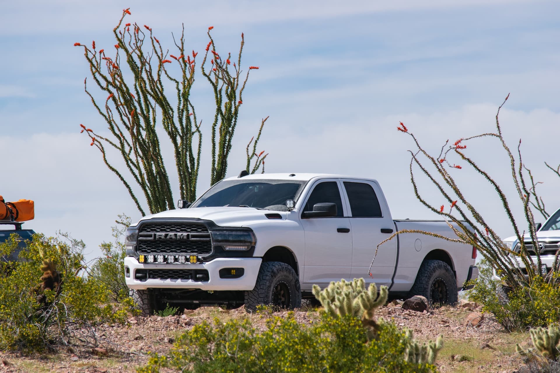 Ram truck posted up among the ocotillo and cholla.